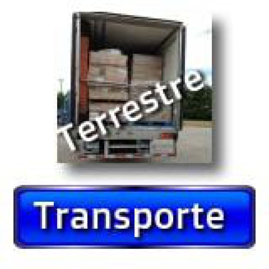 El terrestre