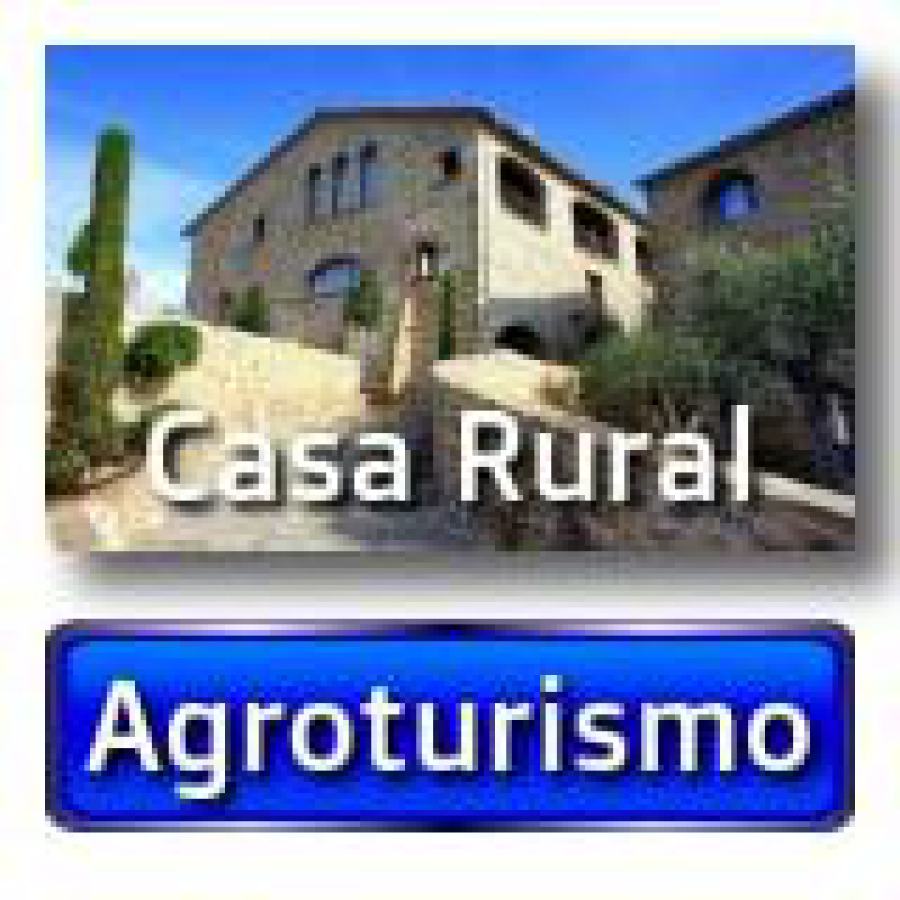 Proyectos unicos