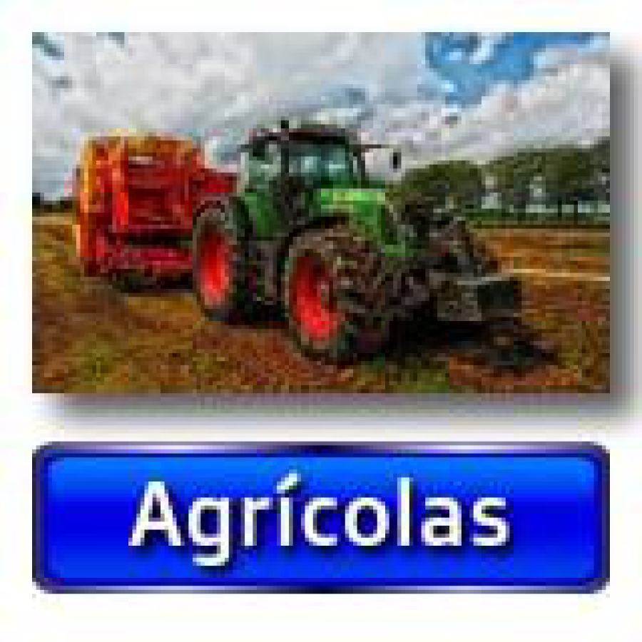 Actividades únicas
