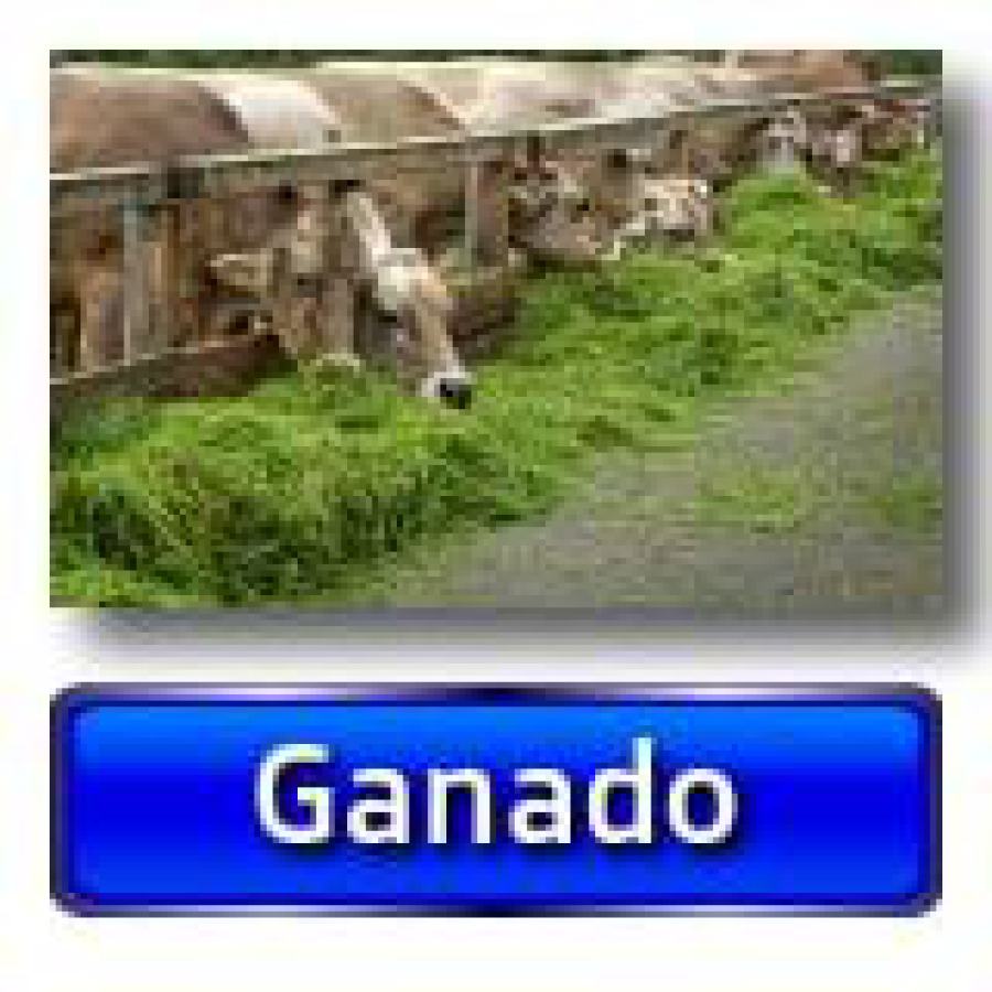 Porque es tu pasión